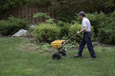 How To Fertilize My Lawn During Hot Weather Hunker