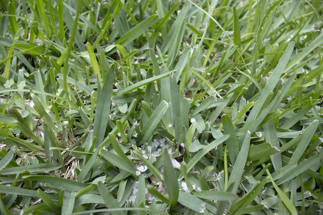 How To Use Gypsum On Lawns Hunker