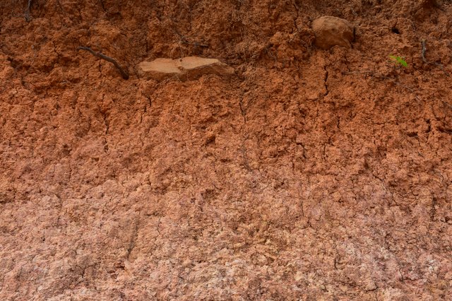 How To Make Grass Grow In Red Clay Soil Hunker