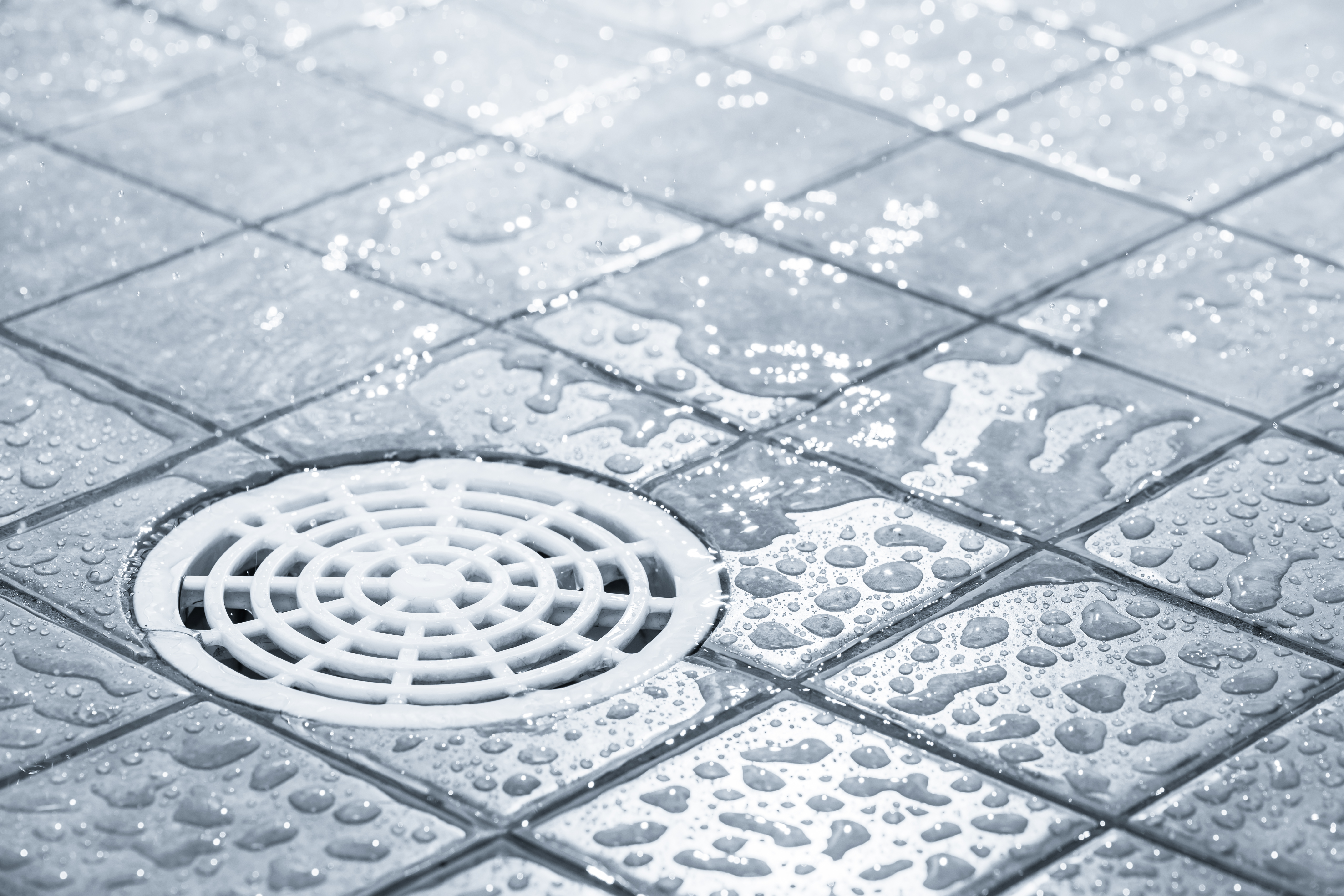 Must-knows about the Types of Shower Drain Covers