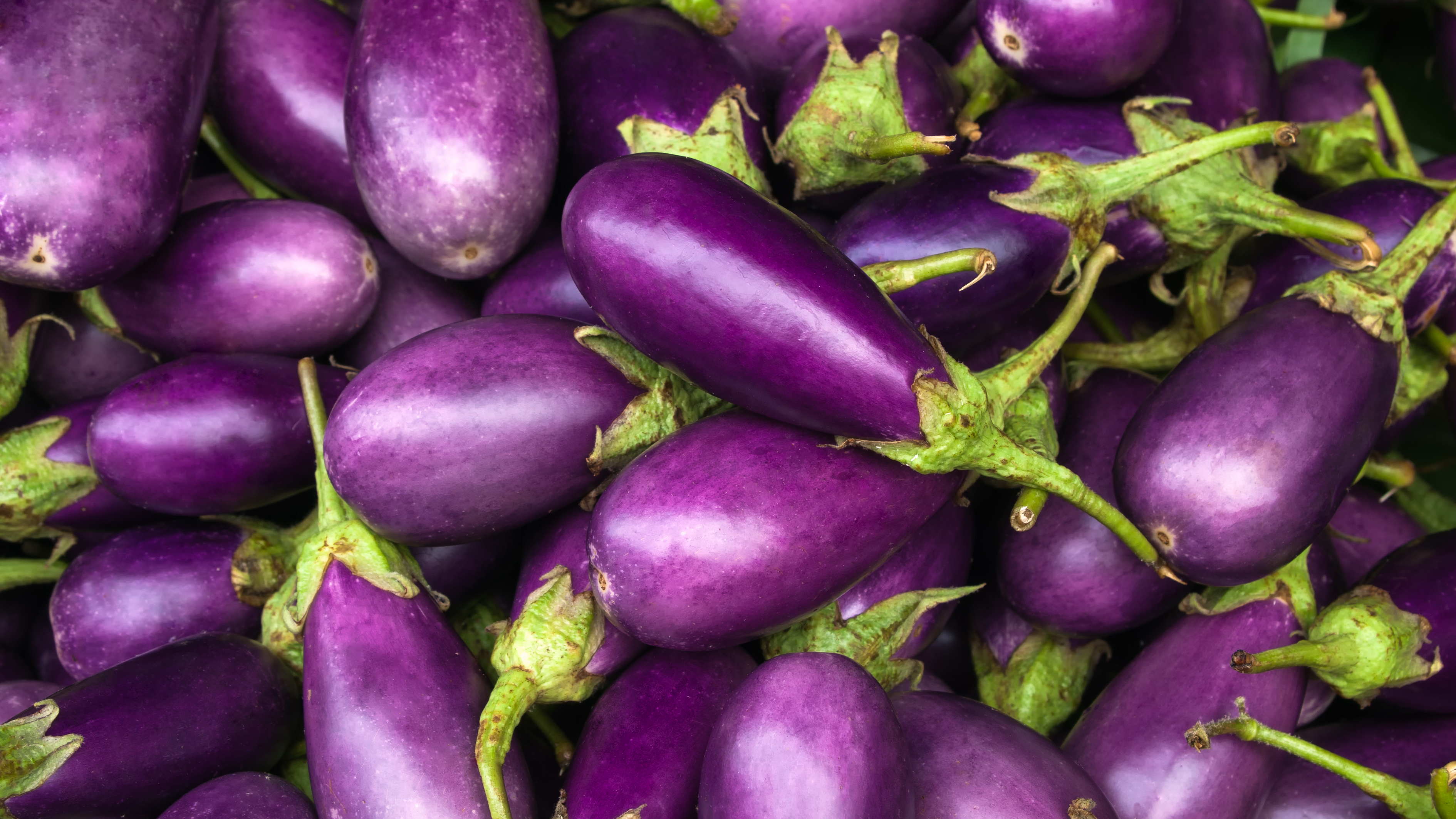 How To Tell When An Eggplant Is Ripe 