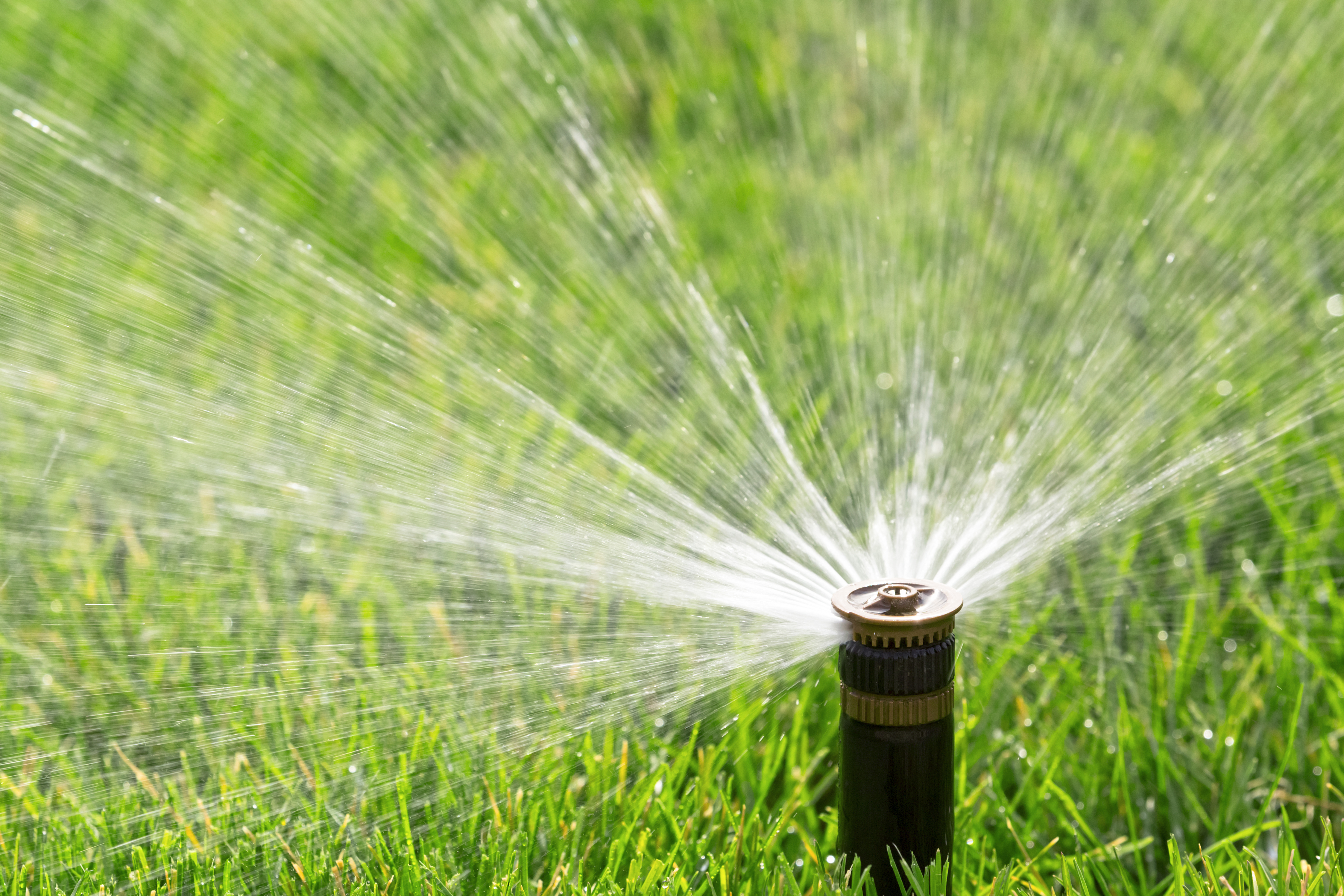 Приготовить воду для полива. Спринклер система полива. Система полива газона. Поливалка для сада. Спринклер для полива газона.