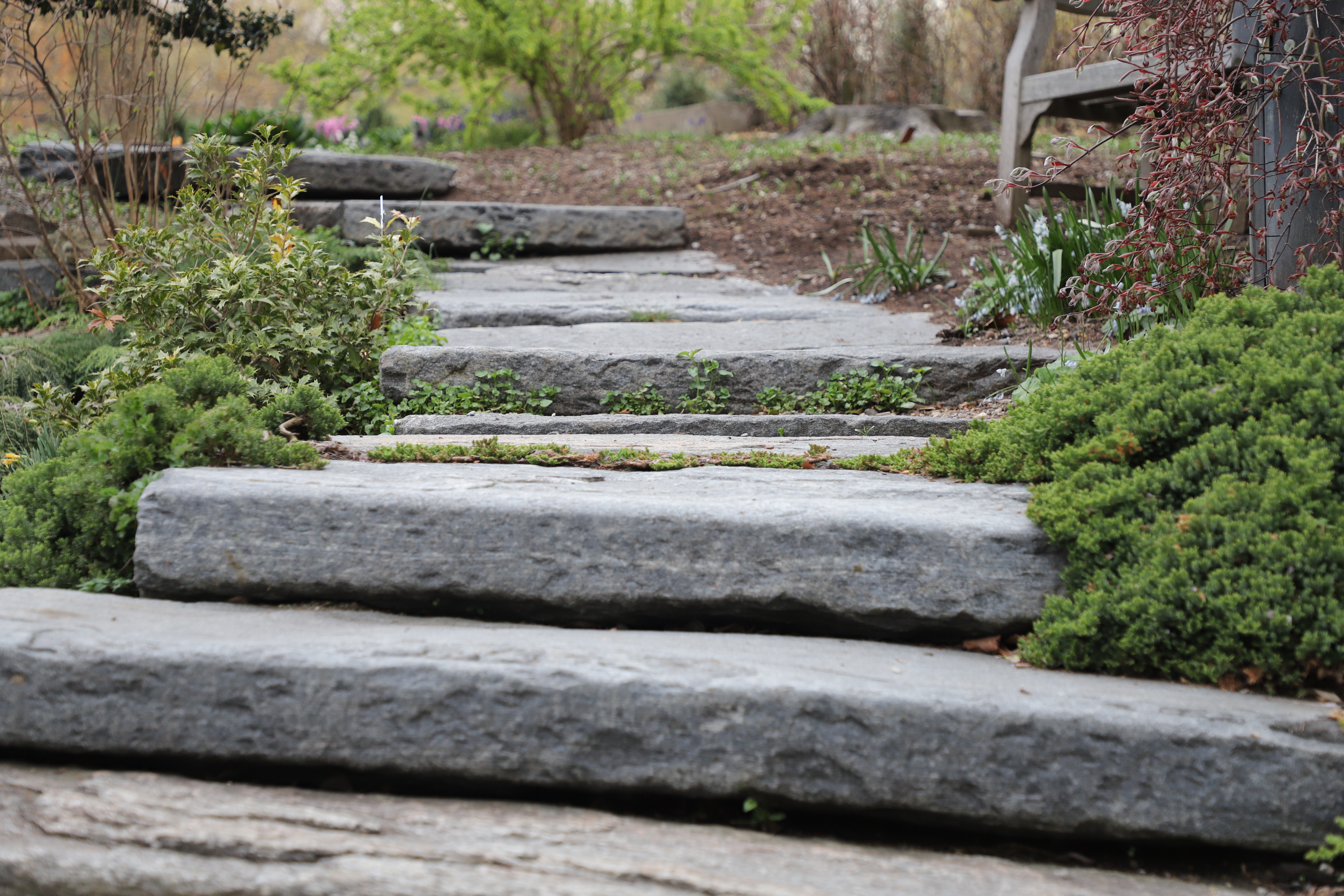 Beautiful steps on steep slope  Garden stairs, Landscape stairs, Steep  hillside landscaping
