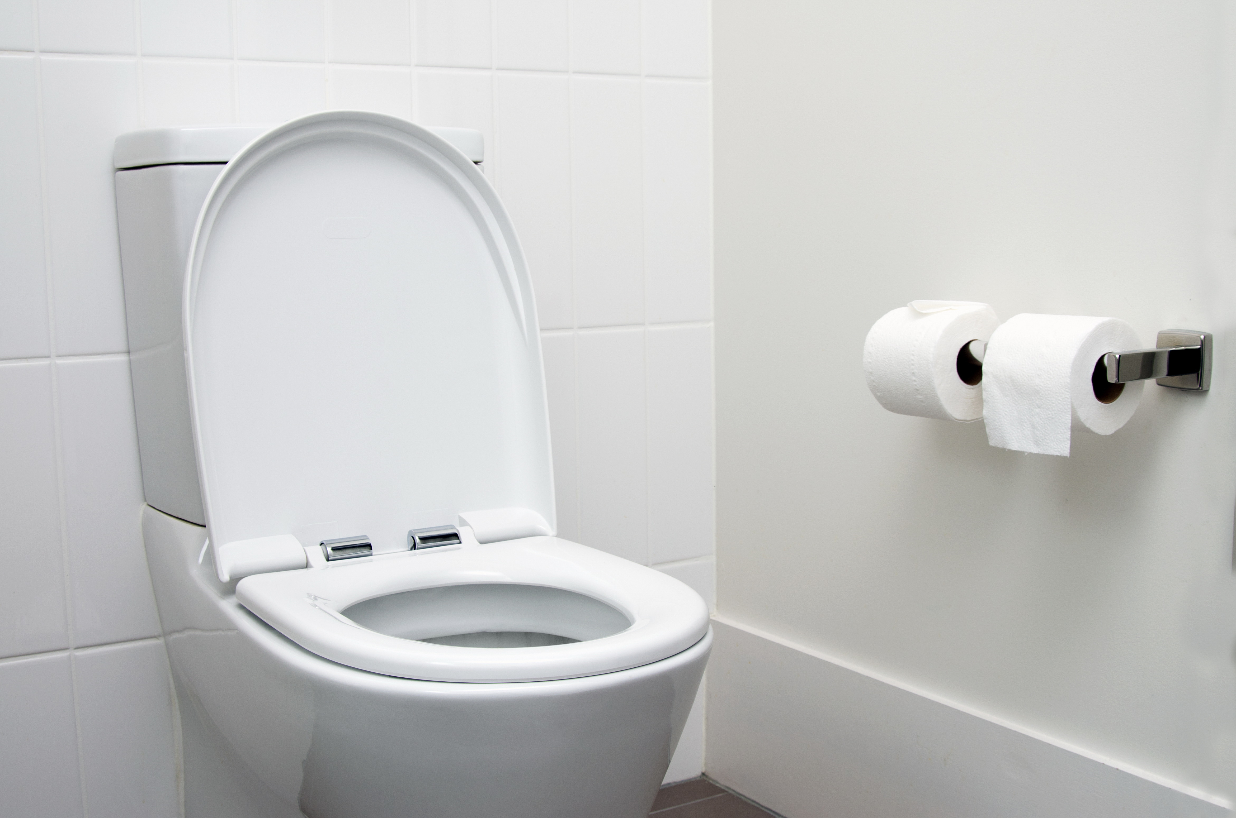 Toilet Paper Holder Buying Guide: The Basics You Need to Know