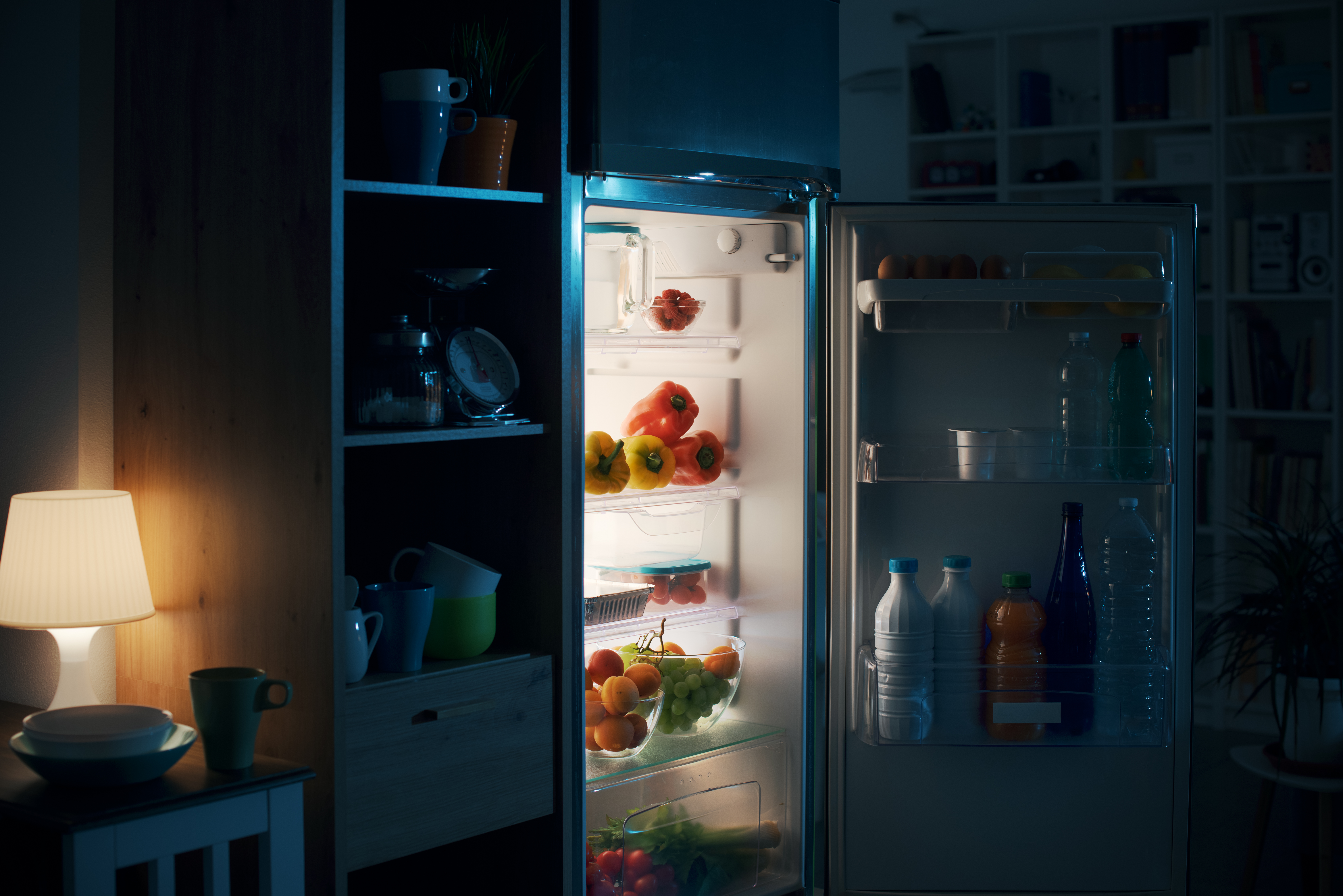 What Kind of Light Bulb Do You Need for the Fridge? Here's What to Know