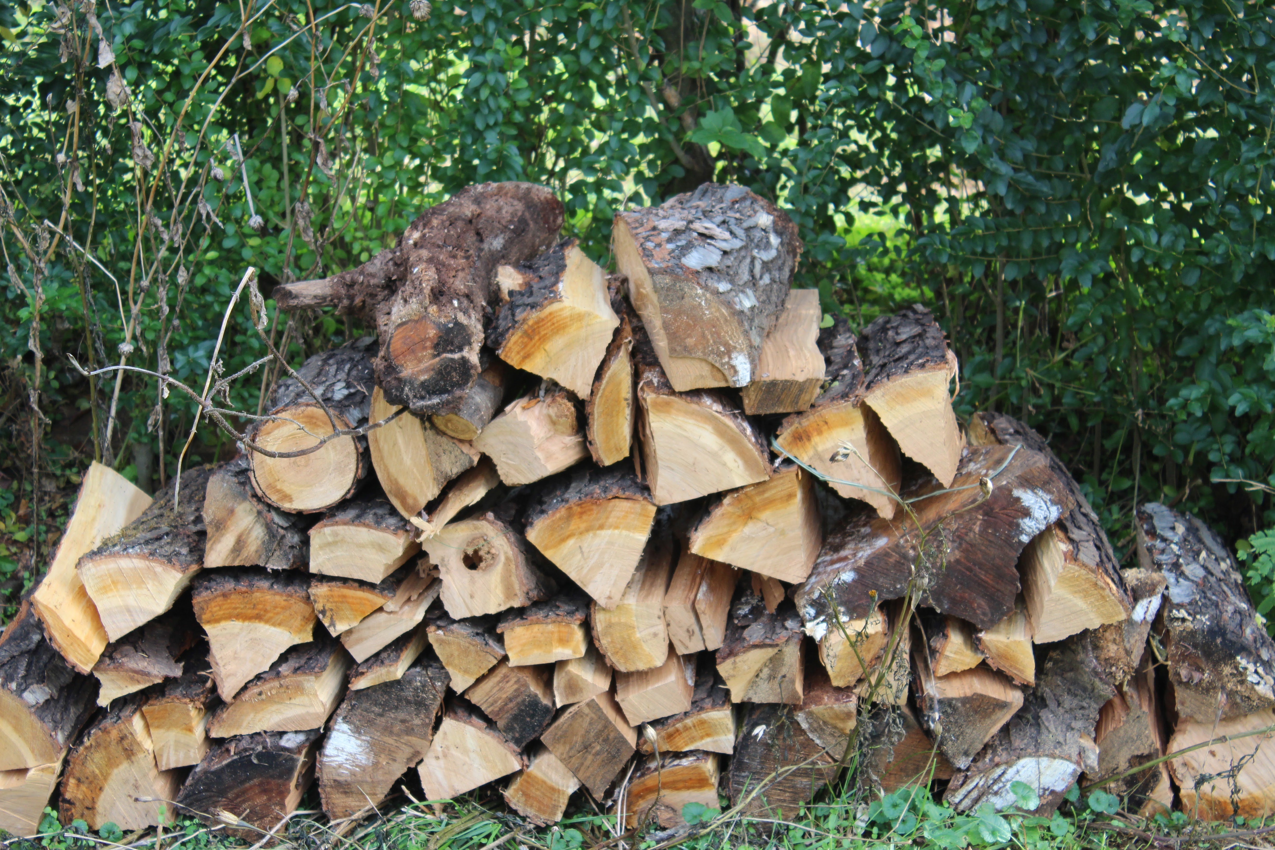 Choosing Firewood