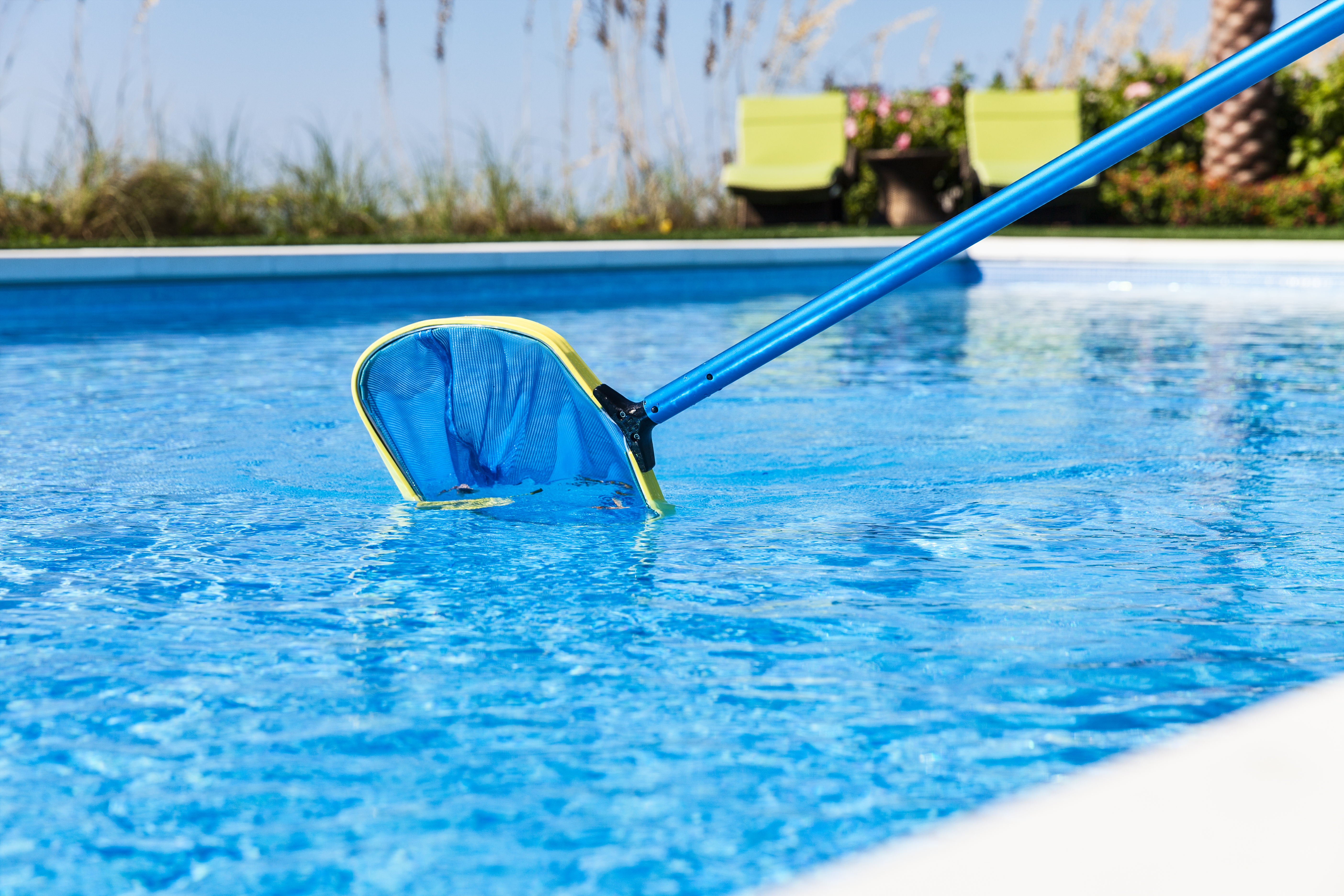 How to Get Rid of Pollen in your Pool (and other Small Debris