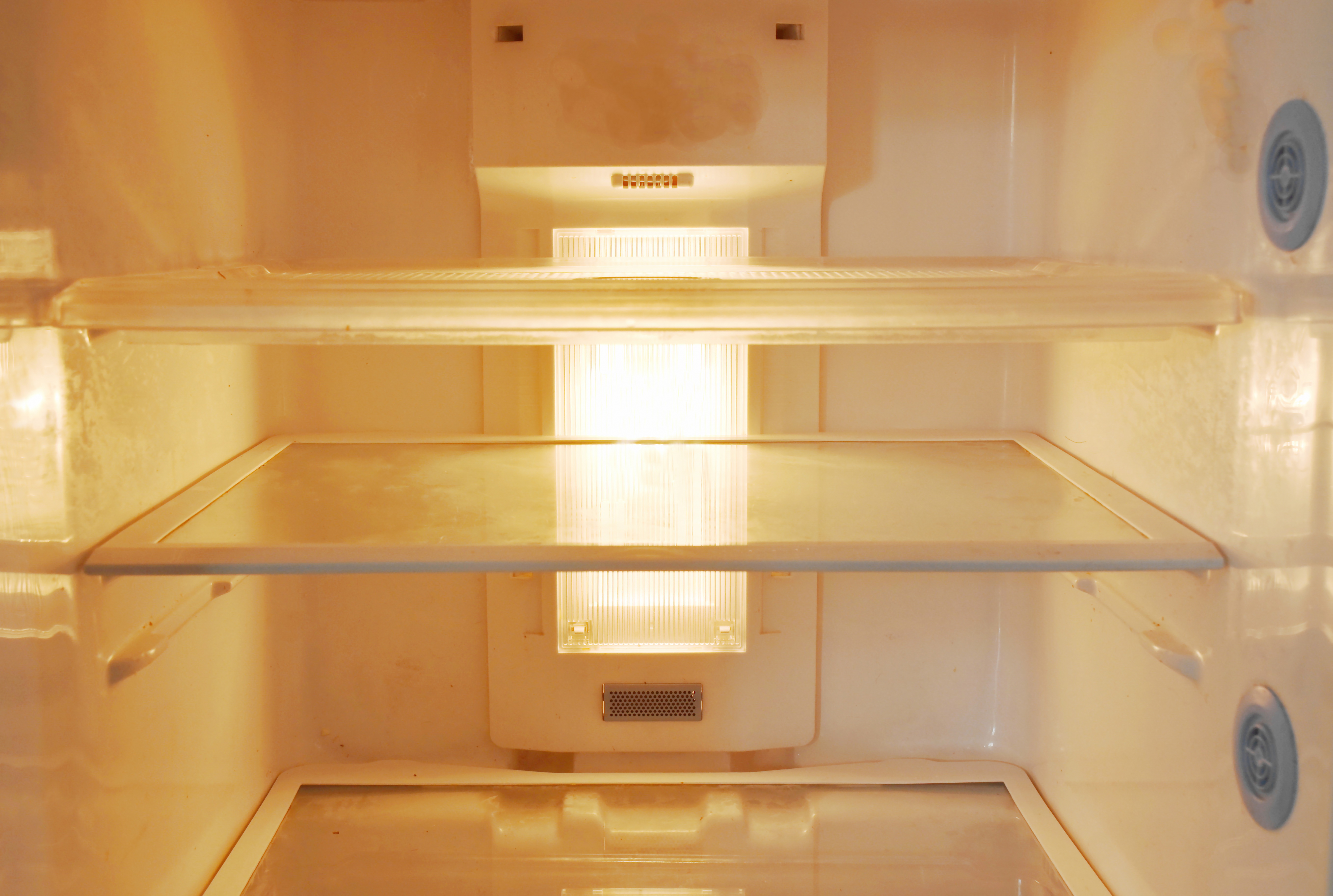 What Kind of Light Bulb Do You Need for the Fridge? Here's What to