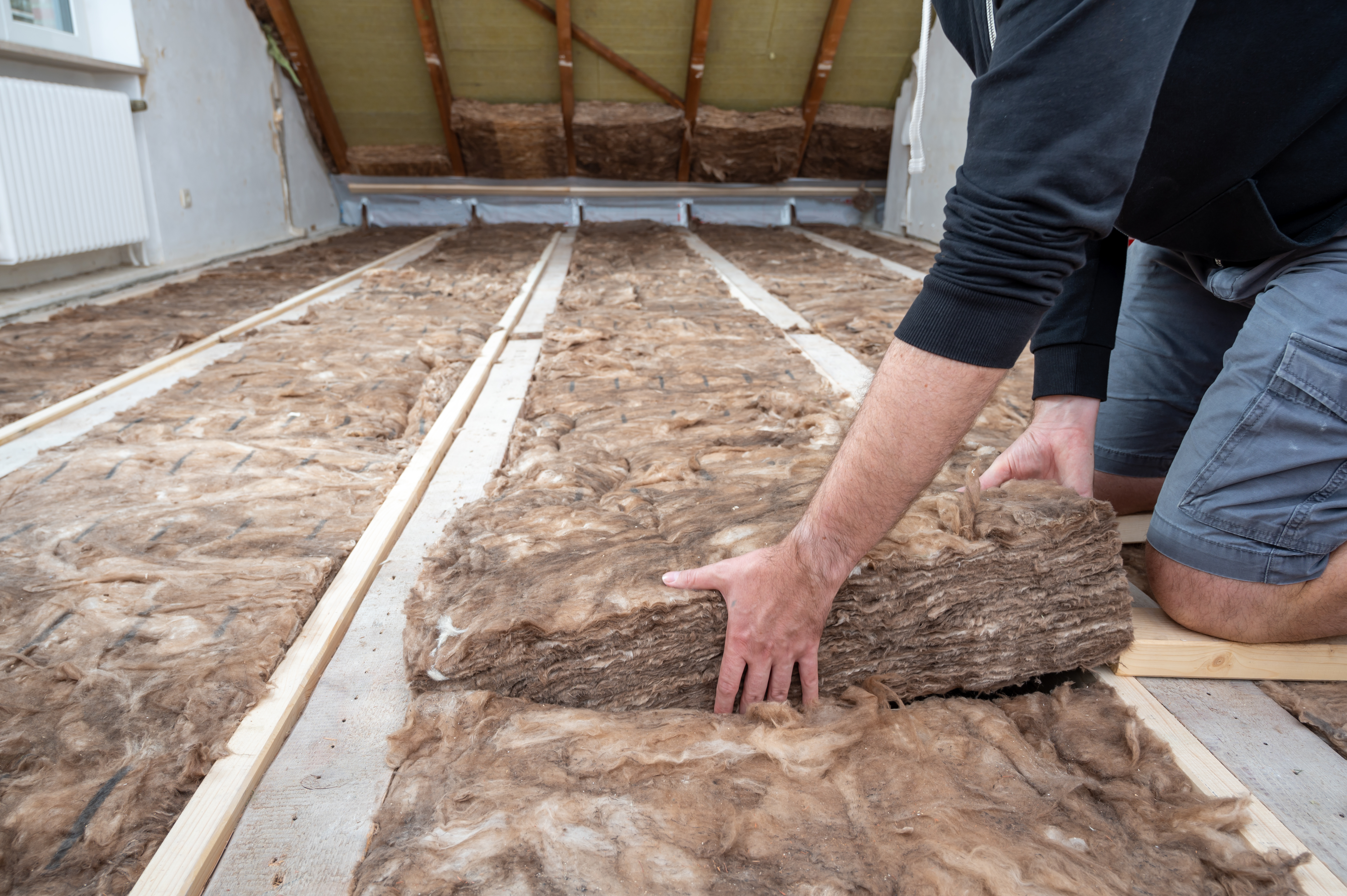 Shed into dog store house