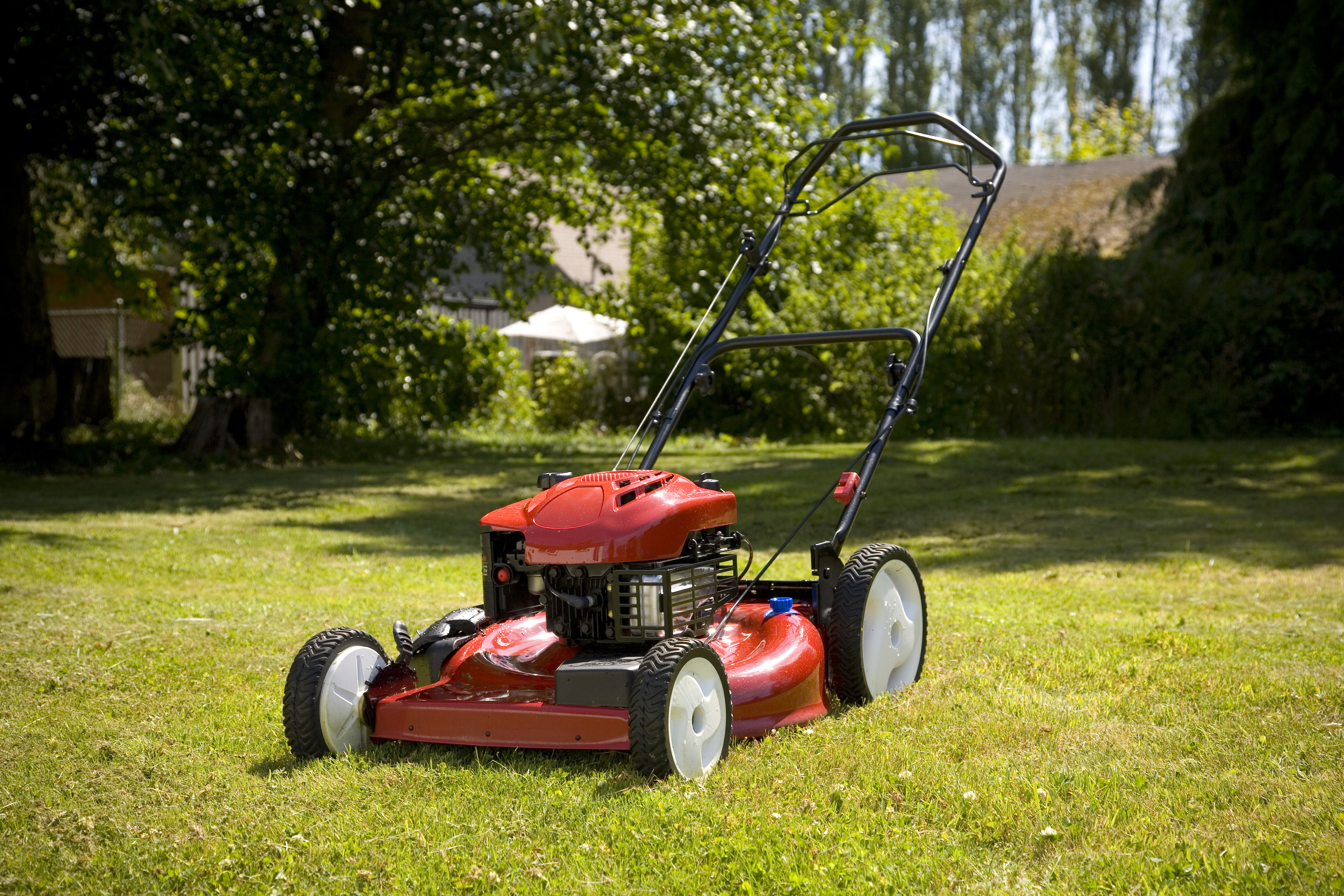 Lawn Mower Buying Guide for Every Type of Lawn Hunker