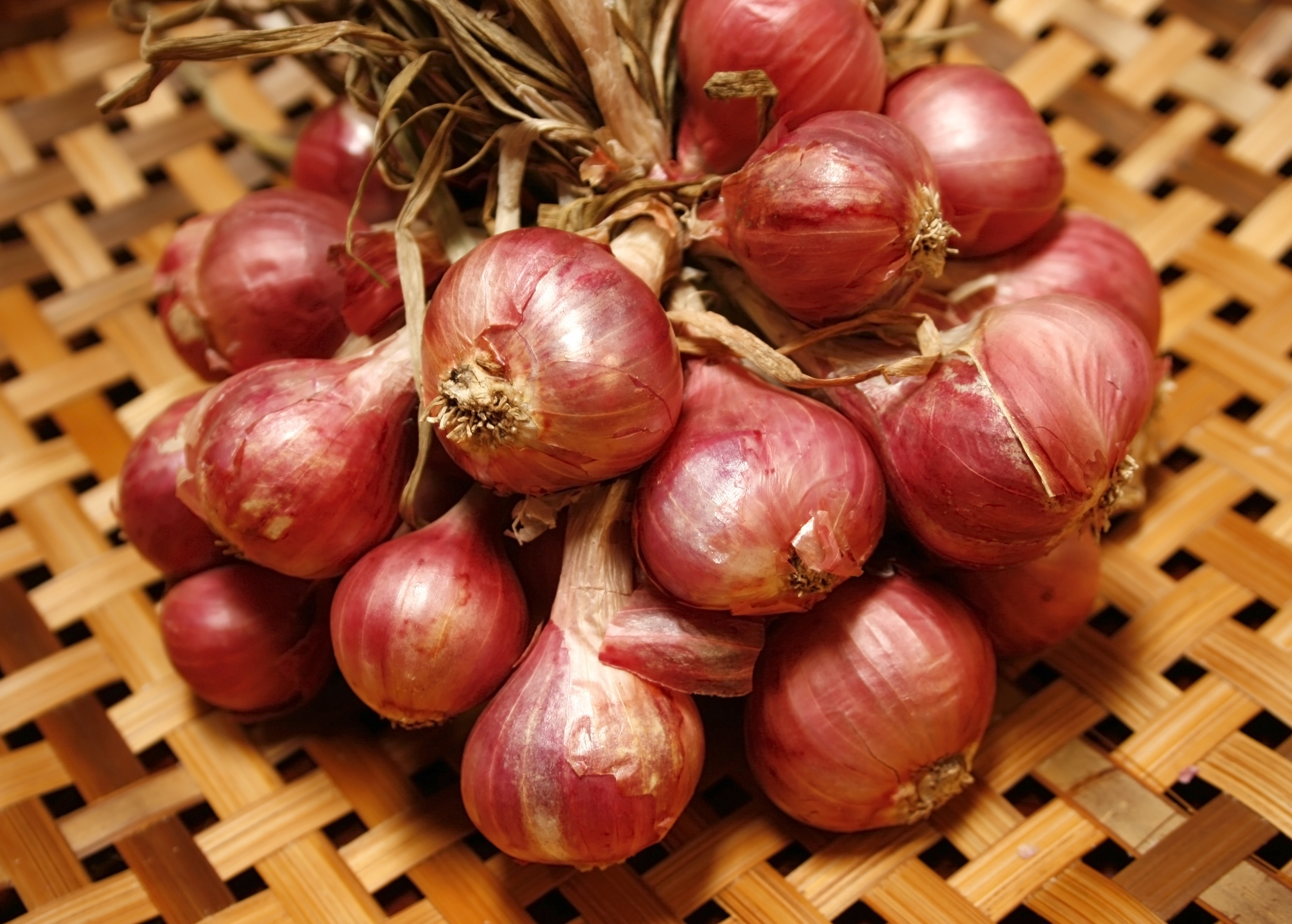 15 Tested Tips for Using, Storing and Growing Shallots