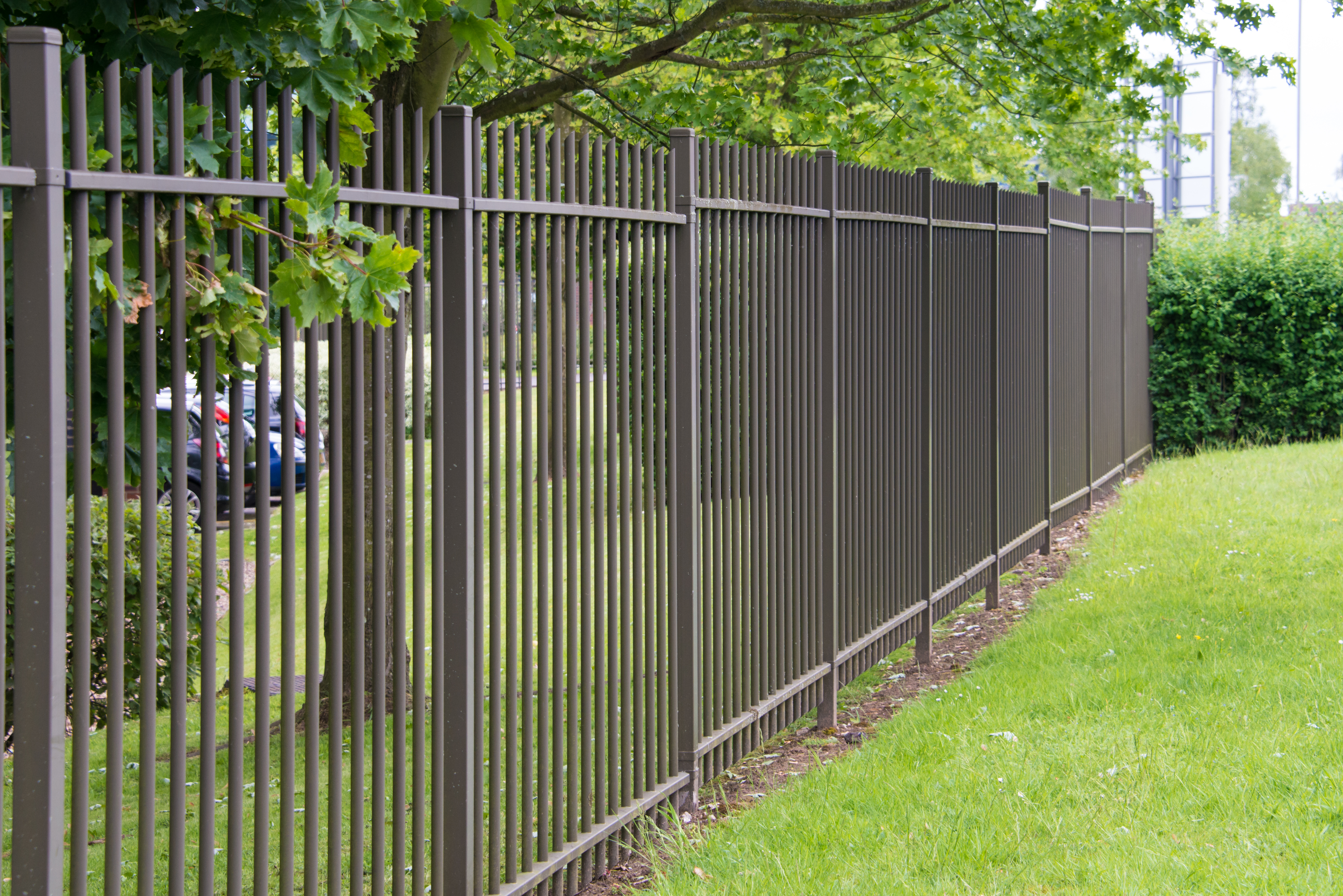 How Can I Get Rid of Grass Under My Fence Hunker