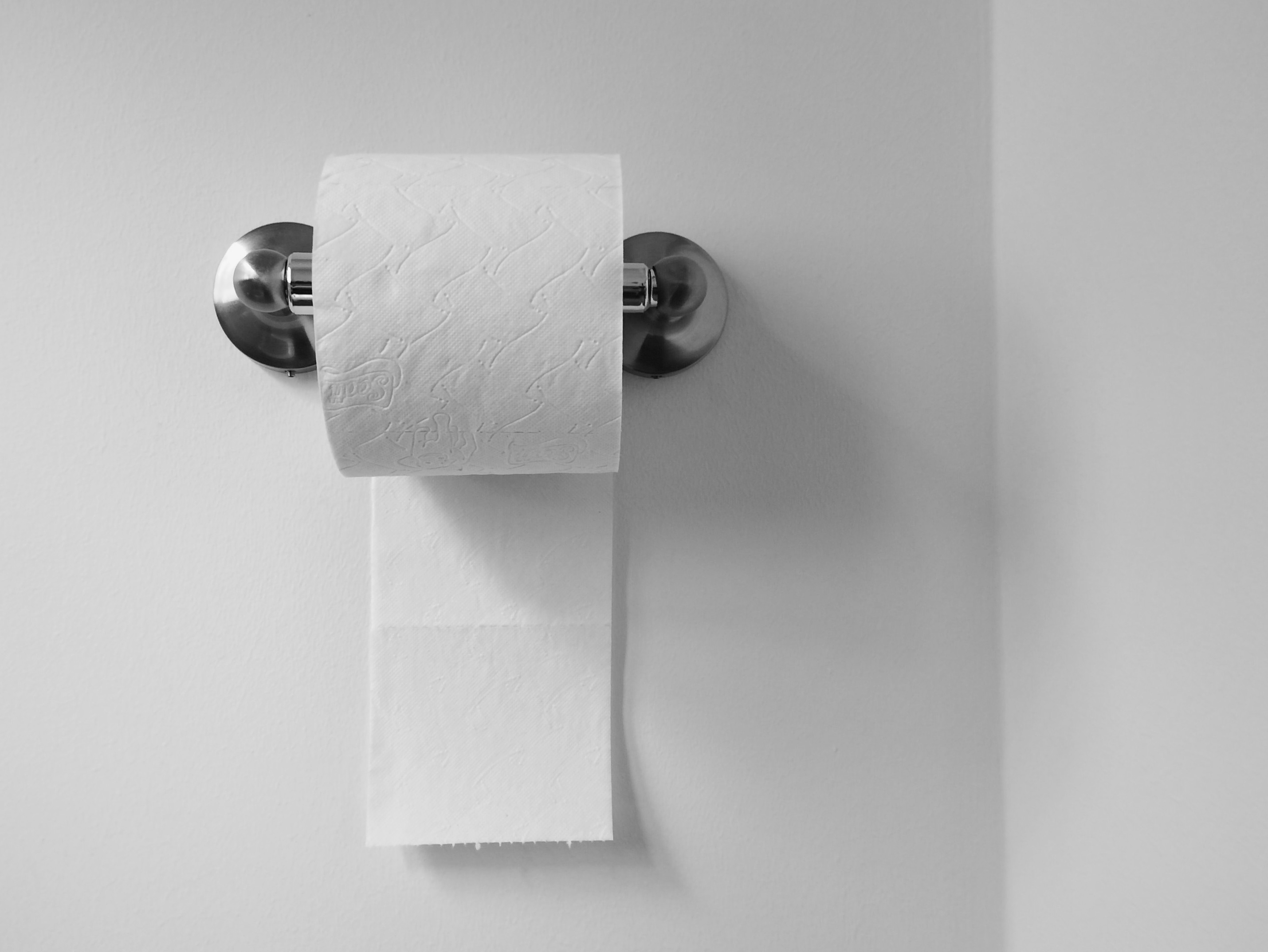 All Toilet Paper Roll Hacks Are Bad