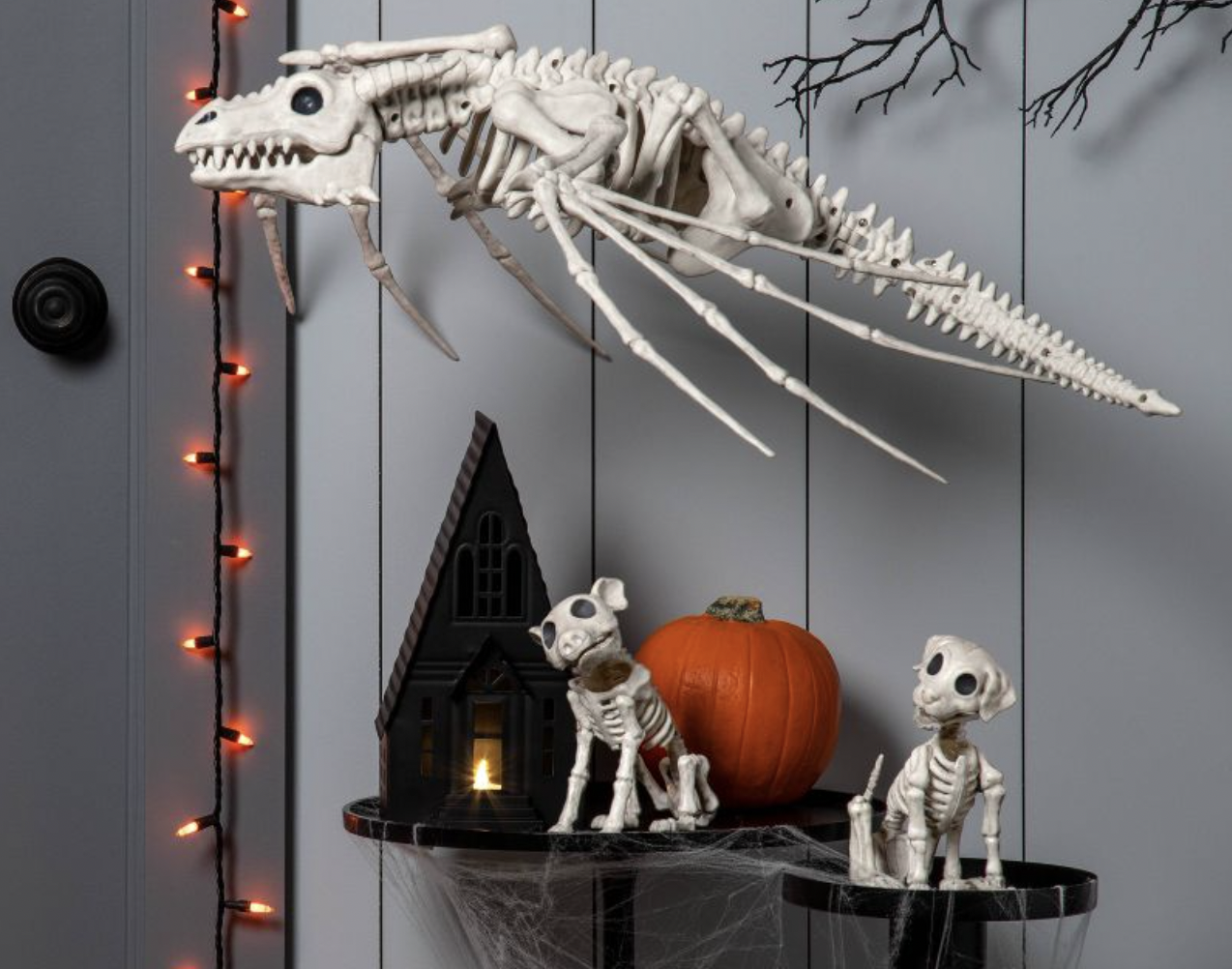 11 Best Dog skeleton halloween ideas  dog skeleton, dog skeleton  halloween, halloween skeletons