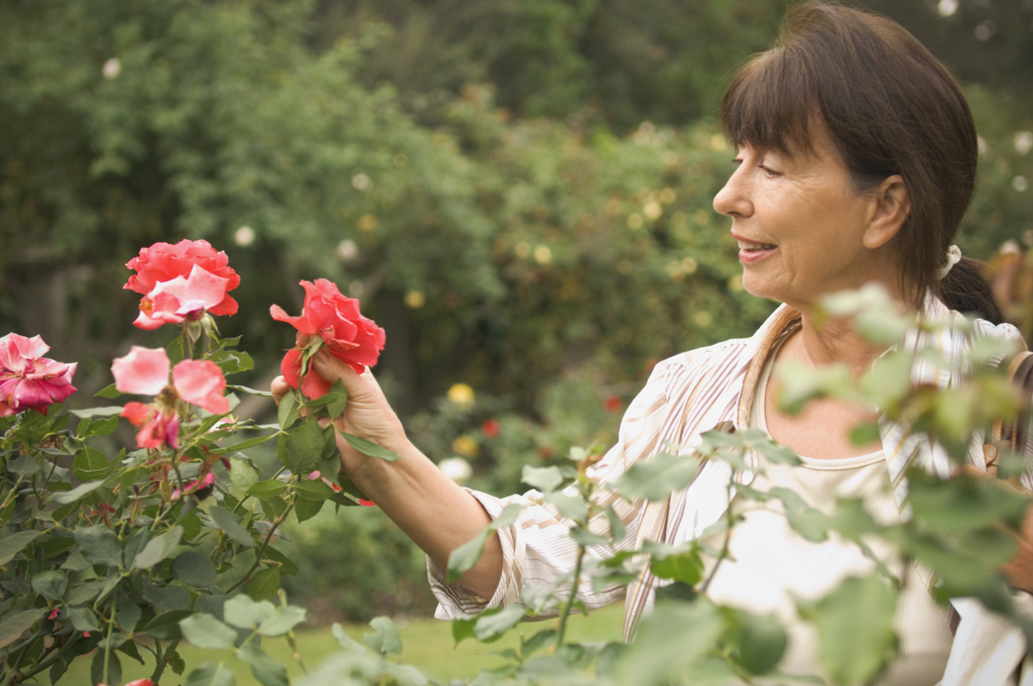 using-potash-in-the-garden-fasci-garden