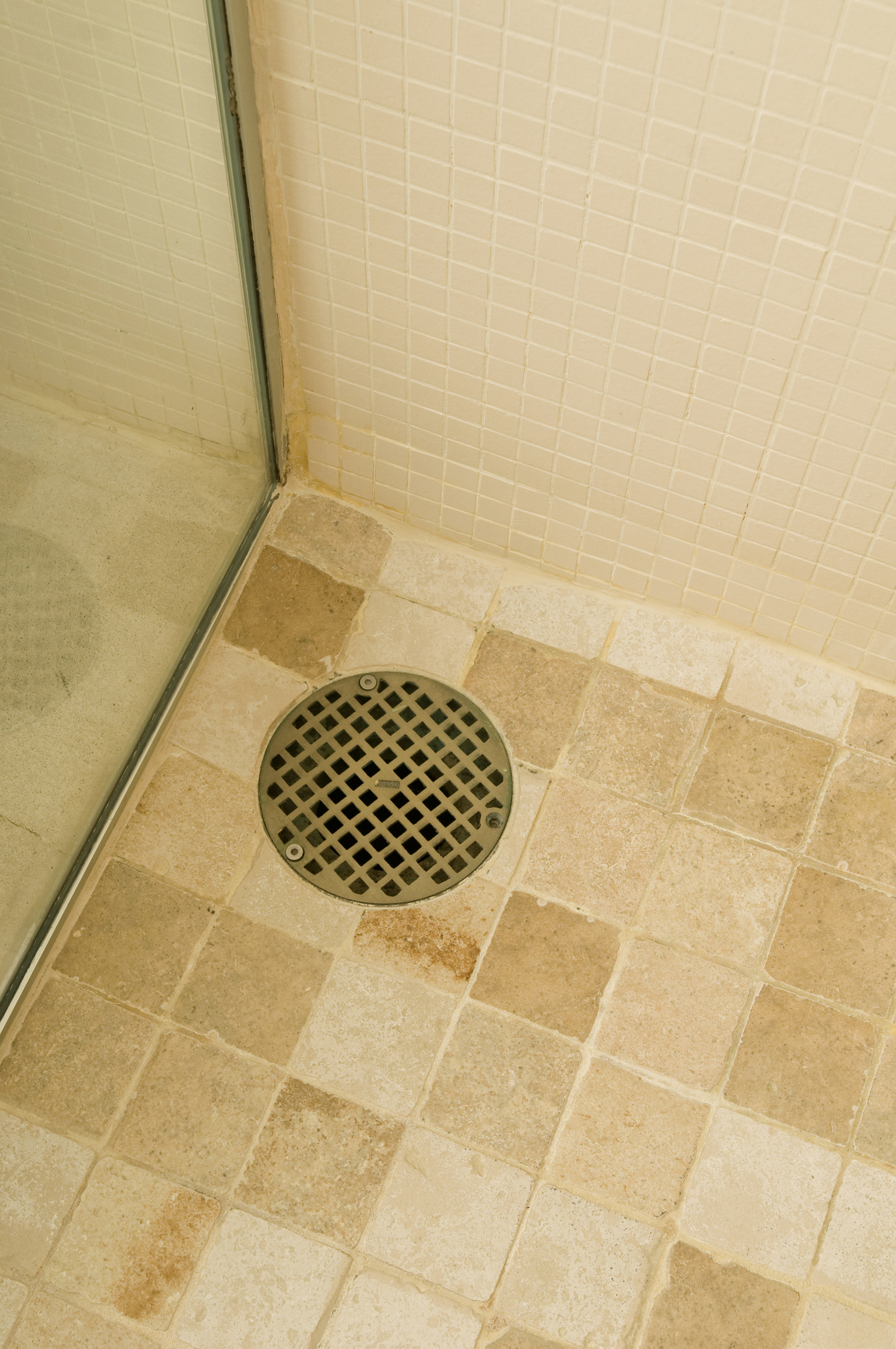 Why Does My Shower Drain Smell?