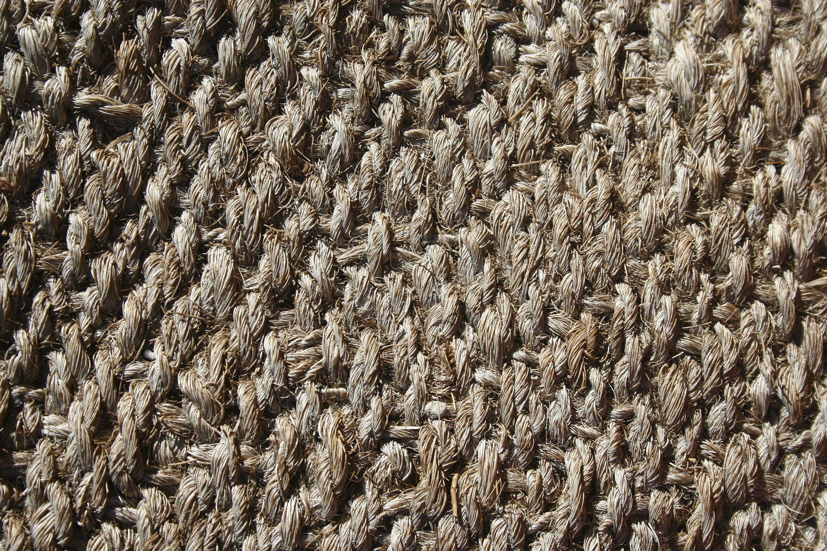 How To Remove Pet Urine Stains From A Sisal Rug Hunker