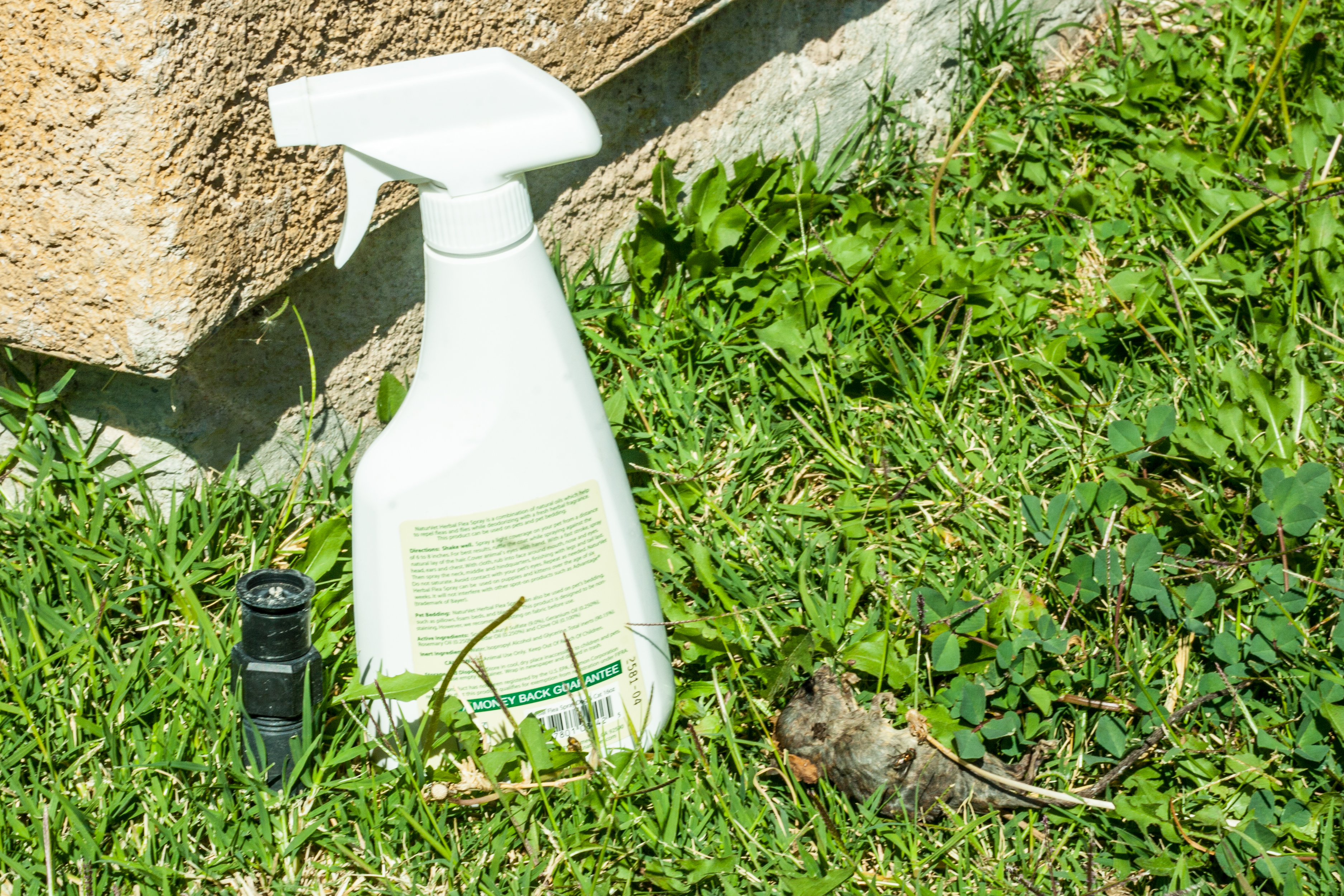 DIY Mouse Pest Control Products