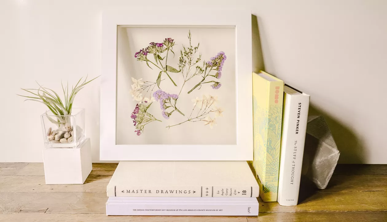 Pressed wildflowers in a wooden frame.