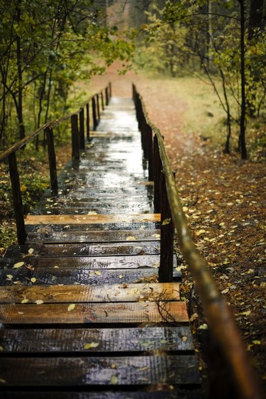 stairways in autumn park