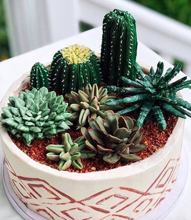 Succulent cake pot - Mason's Cottage Garden