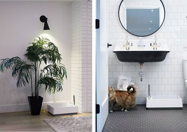 two photos, one showing a plant and white littler box nearby, another showing a bathroom with a cat and white litter box nearby