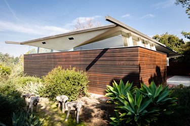 Exterior of midcentury home by John Lautner with wood fencing and native plants