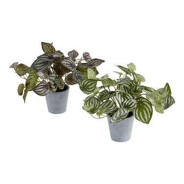 Faux Pepperomia Plant, $14.99