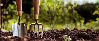 Amending soil will increase your gardening success.