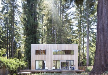 Scandinavian style house with light wood amidst tall trees