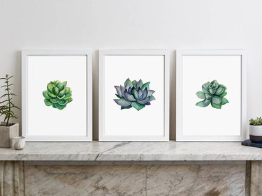 Trio of green succulent prints on white background, each print is slightly different in shape and hue