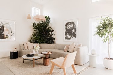 sunny living space with plants, pale furniture, rug, concrete floor