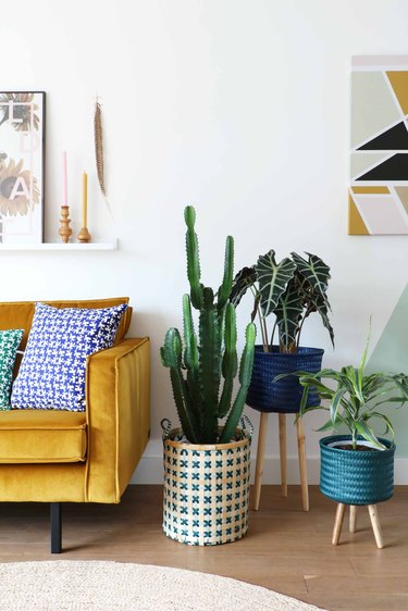 yellow velvet sofa in living room