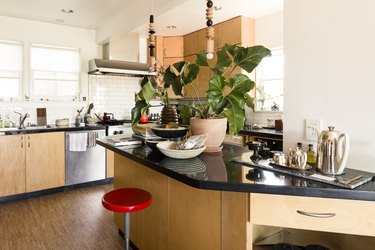 kitchen with black countertops and wood cabinetry with a large plant