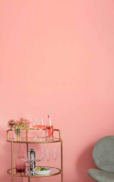 Clare paint in rose