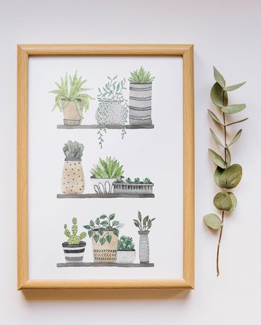 framed botanical free printable