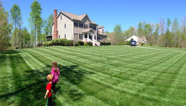 Freshly mowed lawn.