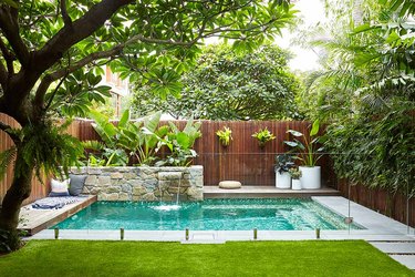 Backyard pool design surrounded by tropical plants, a fountain, and a green lawn