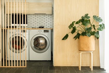 Green plant in wood planter by washer and dryer