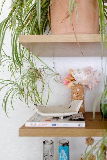 shelf with plants and books