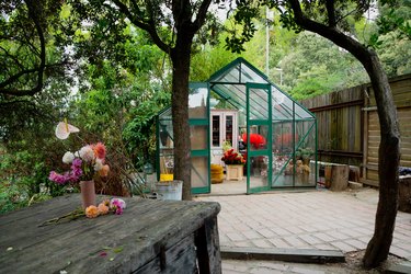 Greenhouse exterior surrounded by trees