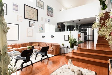 living room, plants and stair case with hardwood flooring
