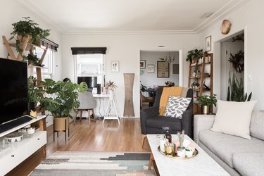 living room with greenery, white walls and hardwood floors