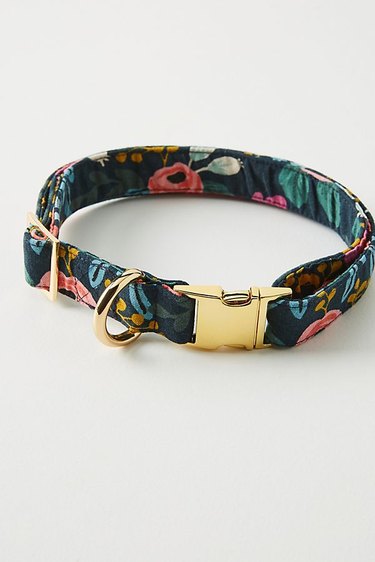 floral dog collar
