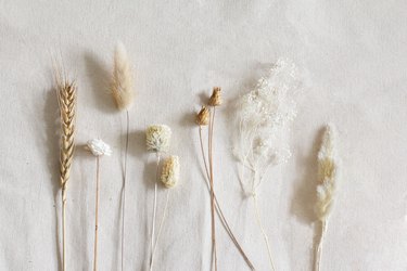 Assorted dried florals