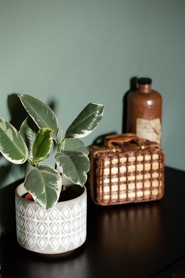 table with plant and accessories