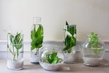 DIY indoor water garden