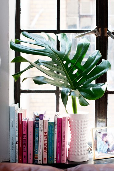 books on windowsill