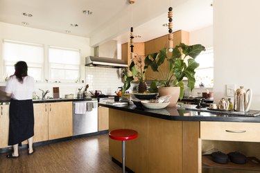 open concept kitchen with plants on the counter and dark hardwood floors