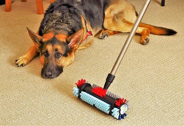 carpet cleaning tool